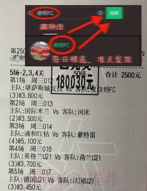 全面分析世界杯投注网站优劣与比较